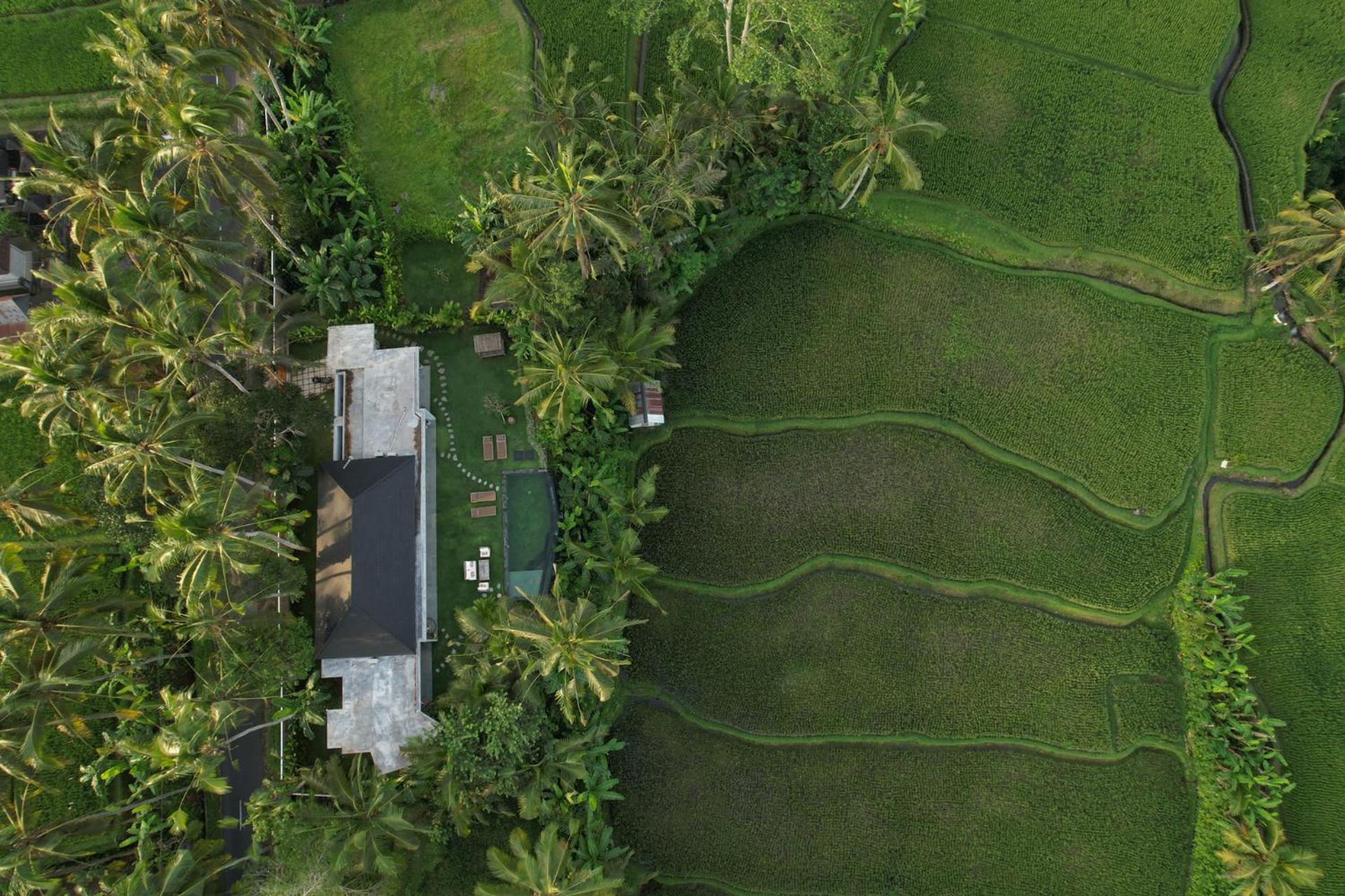 Hatiku Di Bali - Ubud Tegallalang  Zewnętrze zdjęcie